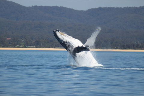 Eden Beachfront Holiday Park - Tourism Gold Coast 5