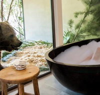 Jamala Wildlife Lodge - Tourism Gold Coast