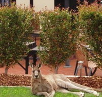 Alpha Canberra Hotel and Apartments - Tourism Gold Coast