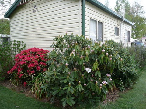 Jenolan Caravan Park - Tourism Gold Coast 1