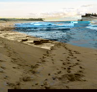 Shelly Beach Holiday Park - Tourism Gold Coast