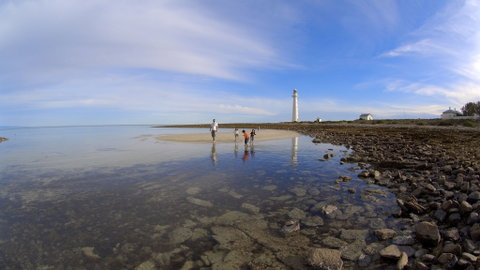 Point Lowly Lighthouse Cottages - Tourism Gold Coast 4