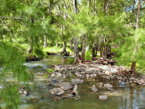 Cockadilly Escape - Tourism Gold Coast 0