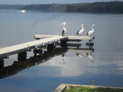 Basin Cabin - Tourism Gold Coast 0