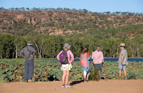 Mount Nancar Wilderness Retreat - Tourism Gold Coast 5