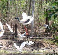 Rakhi Retreat - Tourism Gold Coast