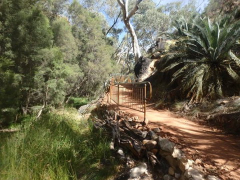 Standley Chasm Angkerle Camping - Tourism Gold Coast 7