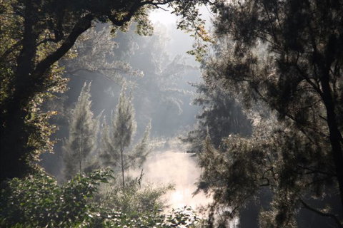 Elderslie House - Tourism Gold Coast 29