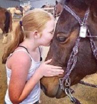 Hunter Valley Horses - Tourism Gold Coast 2