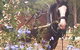 Hunter Valley Horses - thumb 3
