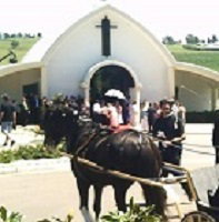 Hunter Valley Horses - Tourism Gold Coast 4