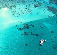 Cairns Premier Reef and Island Tours - Ocean Free  Ocean Freedom - Tourism Gold Coast