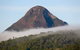 Blackwattle Farm Bed And Breakfast And Farm Stay - thumb 9