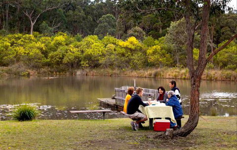 Eagleview Resort - Tourism Gold Coast 4