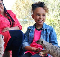 Billabong Koala and Wildlife Park - Tourism Gold Coast