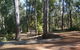 Barrabup Camp At St John Brook National Park - thumb 0