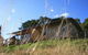 Gisborne Peak Winery  Cottages - thumb 8