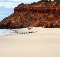Herald Bight Camp at Francois Peron National Park - Tourism Gold Coast