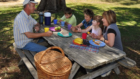 Naracoorte Caves Camping And Accomodation - Tourism Gold Coast 3