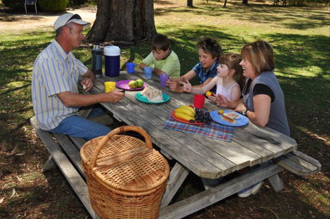 Naracoorte Caves Camping And Accomodation - Tourism Gold Coast 0