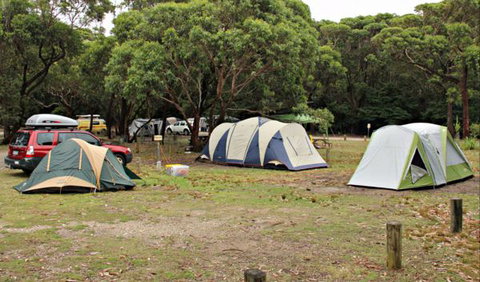 Pretty Beach Campground, Murramarang National Park - Tourism Gold Coast 0