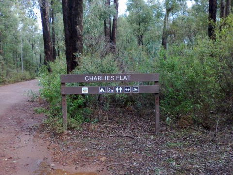 Congo Campground - Tourism Gold Coast 9