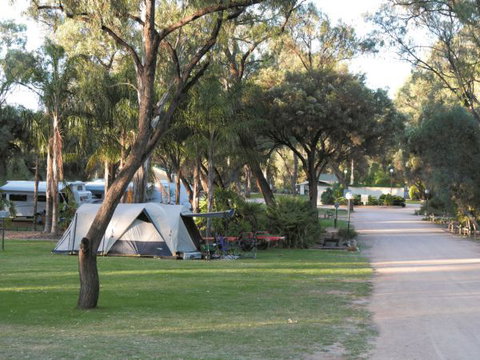 Riverbend Caravan Park Renmark - Tourism Gold Coast 1
