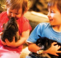 Macka's Farm - Tourism Gold Coast