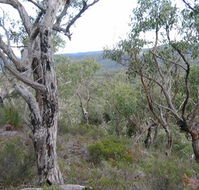 The Glen - Tourism Gold Coast