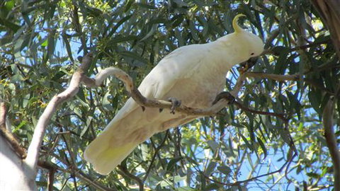 River Gardens Bed And Breakfast Farmstay - Tourism Gold Coast 1