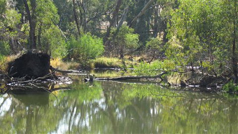 River Gardens Bed And Breakfast Farmstay - Tourism Gold Coast 2