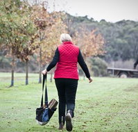 Black Cat Cottage - Tourism Gold Coast