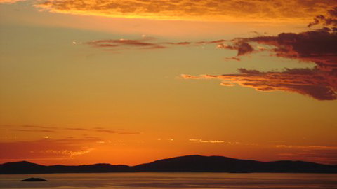 A Fare With Nature @ Prom Road Farm - Tourism Gold Coast 5