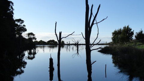 A Fare With Nature @ Prom Road Farm - Tourism Gold Coast 6