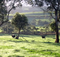 Bellevue Farmstay - Tourism Gold Coast