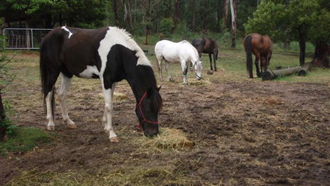 Buller Basecamp Retreat - Tourism Gold Coast 4