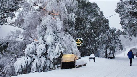 Feathertop Alpine Lodge - Tourism Gold Coast 0