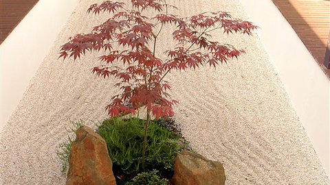 Shizuka Ryokan Japanese Country Spa & Wellness Retreat - Tourism Gold Coast 6