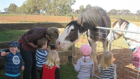Cabarita Lodge - Tourism Gold Coast 4