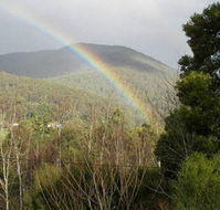 Wattletree Cottage - Tourism Gold Coast