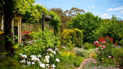 Kookaburra Ridge - Tourism Gold Coast 3