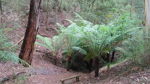 Muxy's Place - Tourism Gold Coast 1