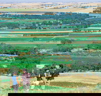 Barossa Best Bed and Breakfast - Tourism Gold Coast