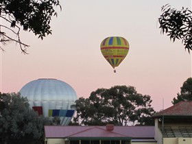 Nuriootpa SA Tourism Gold Coast