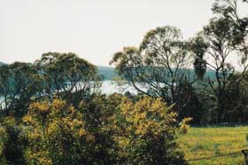 Kooringal Homestead - Tourism Gold Coast 2