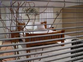 One Tree Bed And Breakfast - Tourism Gold Coast 0