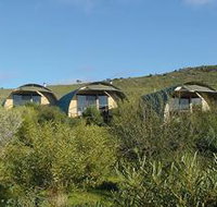 Saunders Gorge Sanctuary - Nature Lodges - Tourism Gold Coast
