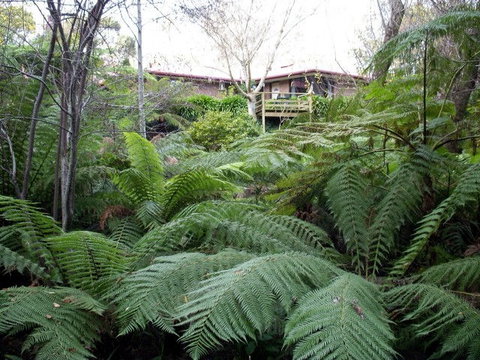 Adelaide Hills Bed & Breakfast Accommodation - Tourism Gold Coast 3