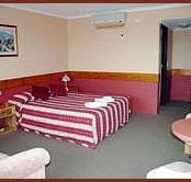 Winsor Park Motor Inn - Tourism Gold Coast