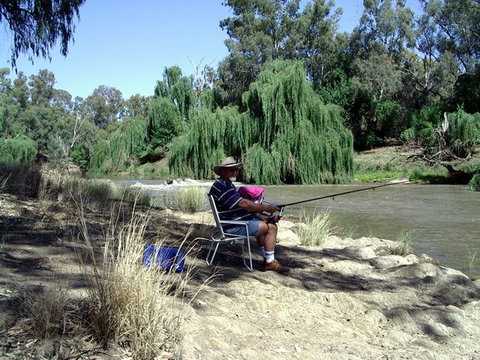 Apex Riverside Park - Tourism Gold Coast 3